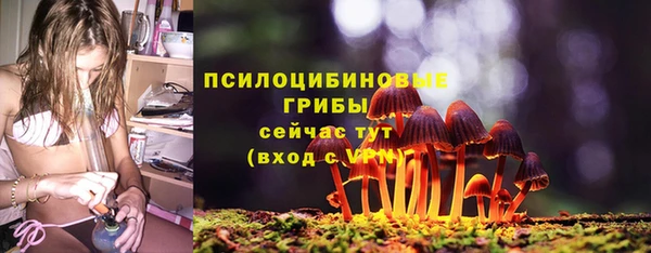дживик Армянск